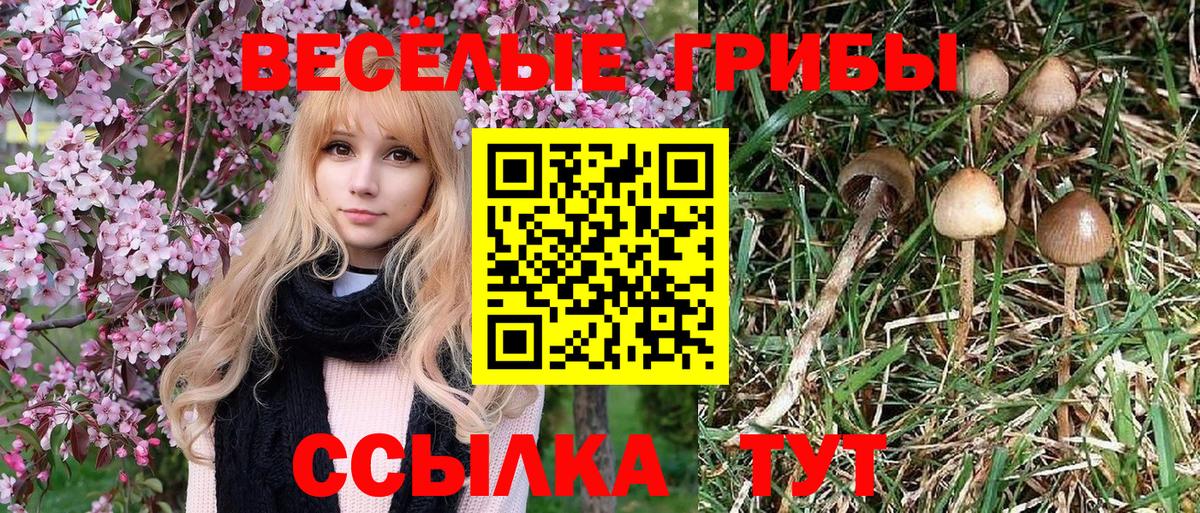 Псилоцибиновые грибы MAGIC MUSHROOMS  Вход с VPN  Галлюциногенные грибы Psilocybe  купить   Клин 