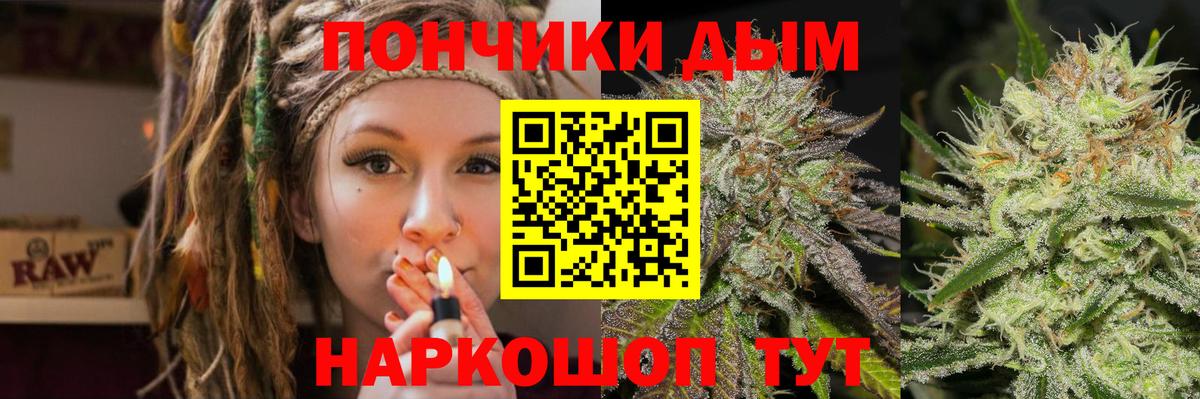 Каннабис сатива Клин